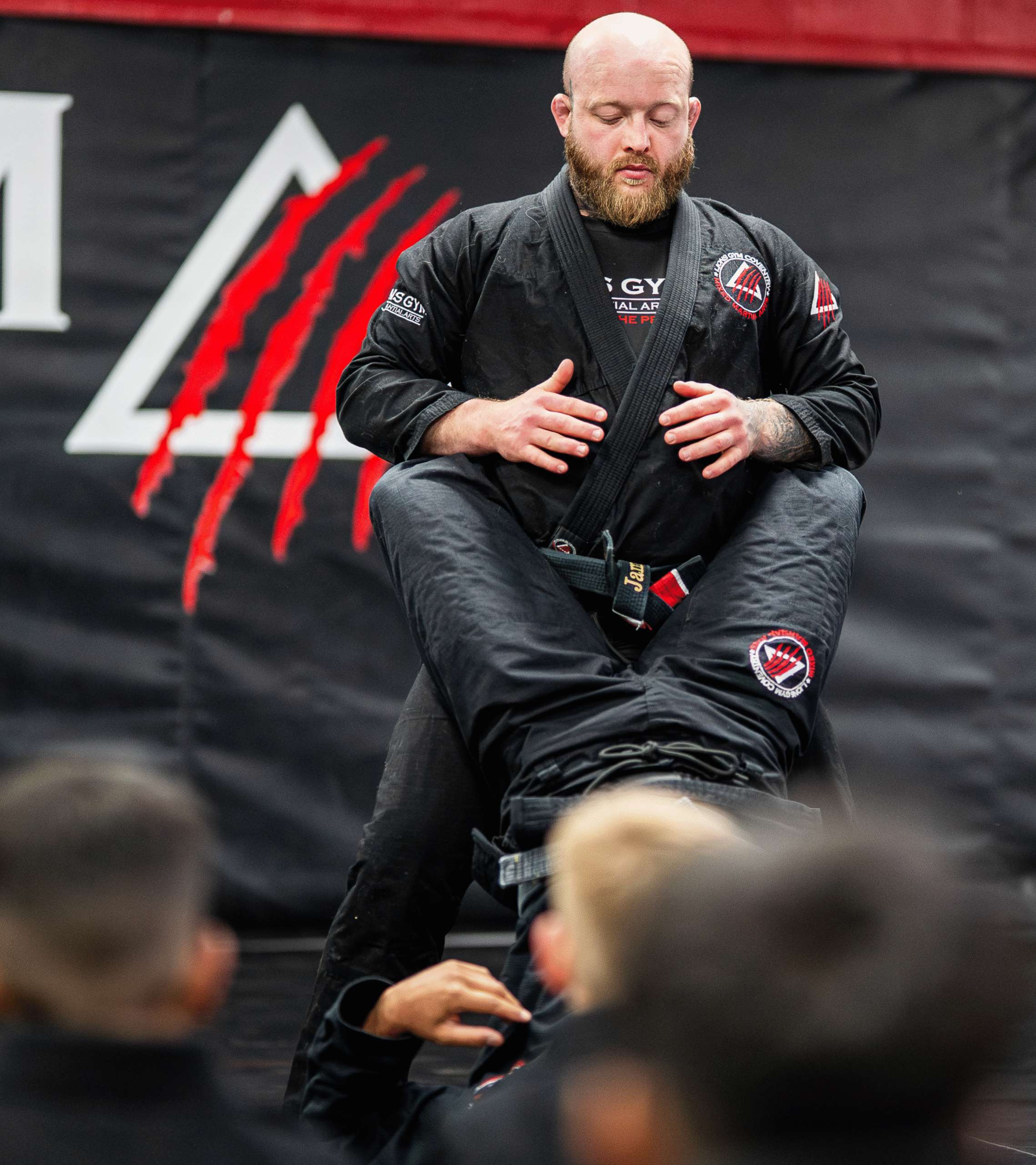 Lions Gym Adults Mixed Martial Arts Classes Coventry